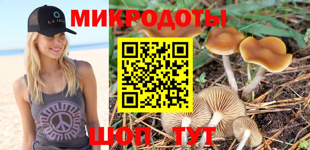 Верхняя Салда  как найти   Вход с VPN  Галлюциногенные грибы Psilocybe 
